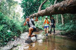 BIB: 
                            <button type="button" onclick="openModal(25368784)" class="btn btn-primary btn-sm float-right btn-popup" data-toggle="modal" data-target=".modal-high-quality">
                        <i class="fas fa-shopping-cart"></i> Add to Cart
                    </button>
                                            <button type="button" onclick="isThisMe(25368784, true)" class="btn btn-success btn-sm float-right btn-popup btn-isme hidden" data-toggle="tooltip" data-placement="bottom" title="นี่คือรูปของคุณใช่ไหม คลิกที่นี่เพื่อเอาเข้าอัลบั้ม">
                        <i class="fas fa-plus"></i> Add to album
                    </button>
                    <button type="button" onclick="isThisMe(25368784, false)" class="btn btn-warning btn-sm float-right btn-popup btn-isnotme hidden">
                        <i class="fas fa-ban"></i> Remove from album
                    </button>